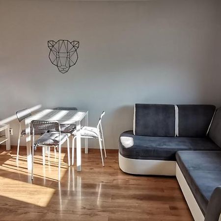 Apartament Przy Papierni Apartamento Duszniki Zdrój Exterior foto